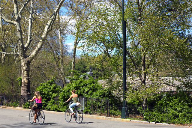 3rd ave - Photo 1