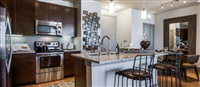 1 Bedroom, 2600 S Braeswood Condominiums Rental in Houston for $1,125 - Photo 1