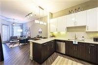 1 Bedroom, Meridian Square Rental in Dallas for $1,185 - Photo 1