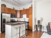 1 Bedroom, Midtown Rental in Houston for $1,285 - Photo 1