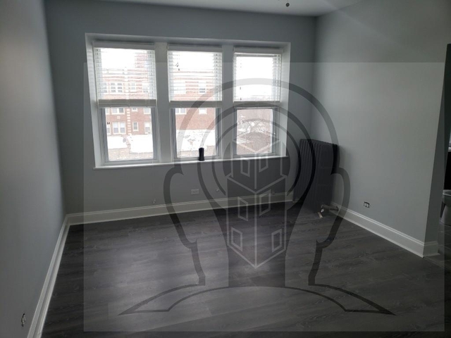 Studio, Rogers Park Rental in Chicago, IL for $1,025 - Photo 1