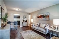2 Bedrooms, Braeswood Condominiums Rental in Houston for $735 - Photo 1