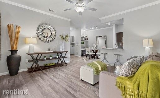 1 Bedroom, San Antonio Northwest Rental in San Antonio, TX for $1,100 - Photo 1