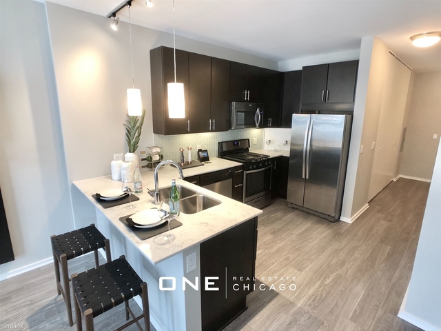 1 Bedroom, West Loop Rental in Chicago, IL for $2,800 - Photo 1