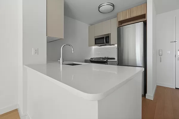 1 Bedroom, Long Island City Rental in NYC for $4,426 - Photo 1