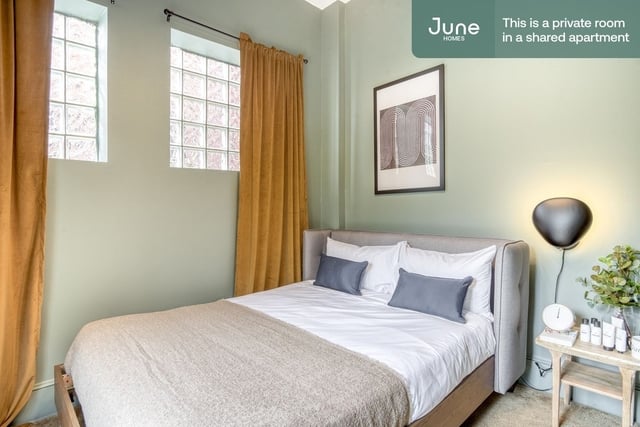 Room, Columbia Heights Rental in Washington, DC for $1,425 - Photo 1