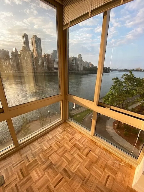 1 Bedroom, Roosevelt Island Rental in NYC for $4,100 - Photo 1