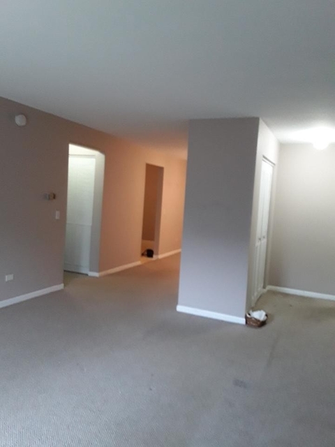 1 Bedroom, Lisle Rental in Chicago, IL for $1,200 - Photo 1