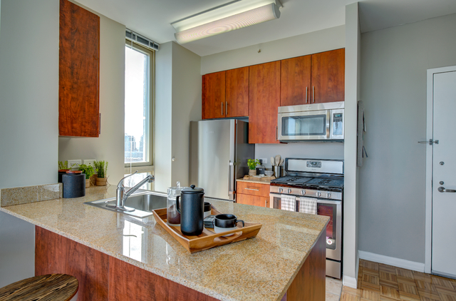 1 Bedroom, Roosevelt Island Rental in NYC for $3,563 - Photo 1