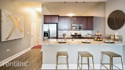 2 Bedrooms, South Loop Rental in Chicago, IL for $2,500 - Photo 1