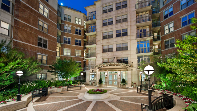 1 Bedroom, Forest Hills Rental in Washington, DC for $2,301 - Photo 1
