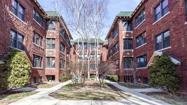 2 Bedrooms, Oak Park Rental in Chicago, IL for $1,700 - Photo 1