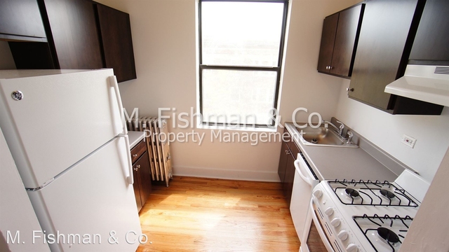 3 Bedrooms, Humboldt Park Rental in Chicago, IL for $1,595 - Photo 1