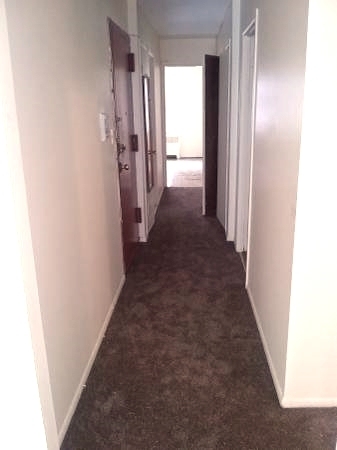 3 Bedrooms, Rego Park Rental in NYC for $2,600 - Photo 1