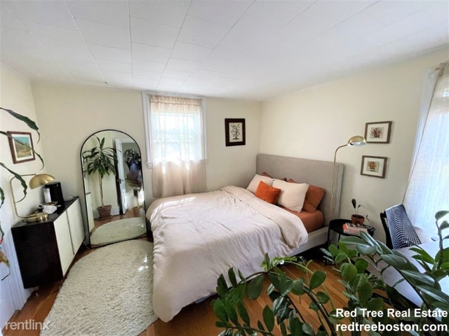 2 Bedrooms, West Newton Rental in Boston, MA for $3,650 - Photo 1