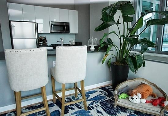 Studio, Hunters Point Rental in NYC for $3,250 - Photo 1