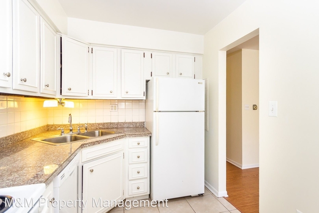 2 Bedrooms, Oak Park Rental in Chicago, IL for $1,650 - Photo 1