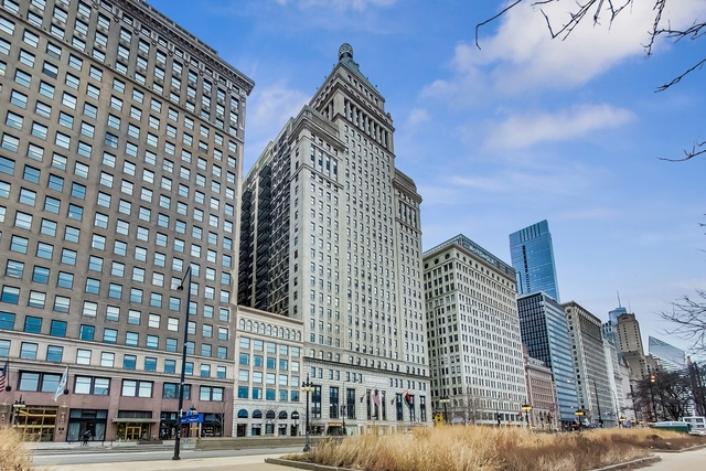 310 S Michigan Avenue - Photo 1