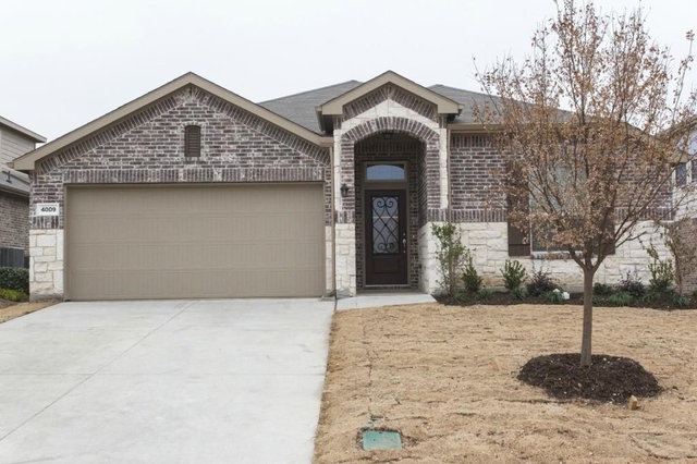 4009 Pecan Meadow Drive - Photo 1