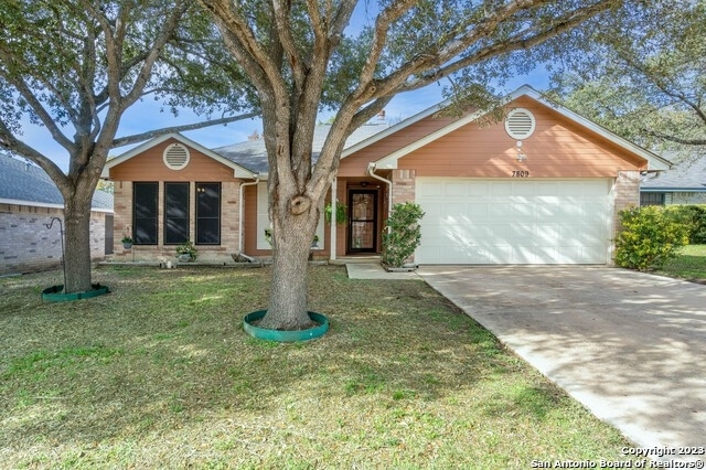 7809 Forest Path - Photo 1