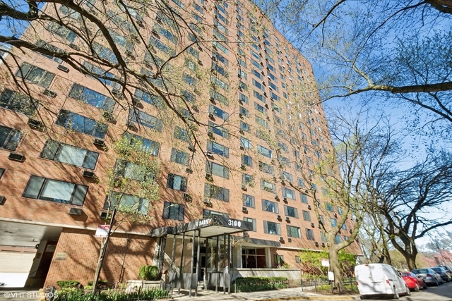 3100 N Lake Shore Drive - Photo 1