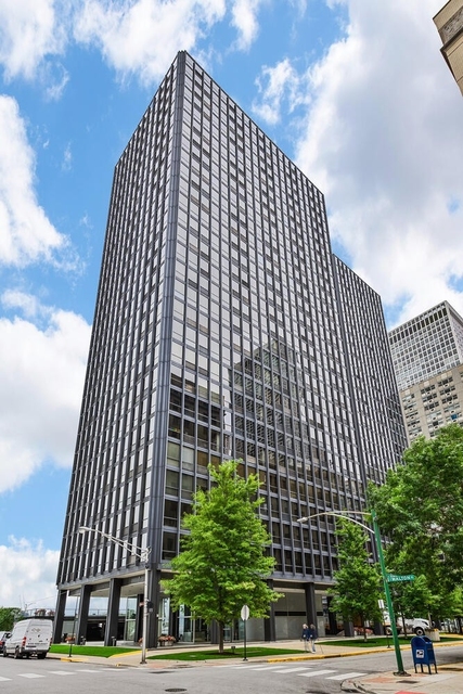 910 N Lake Shore Drive - Photo 1