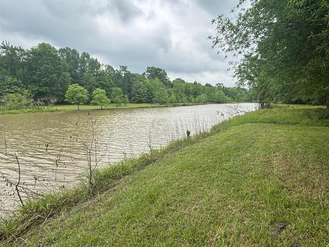 503 Sour Lake Circle - Photo 1