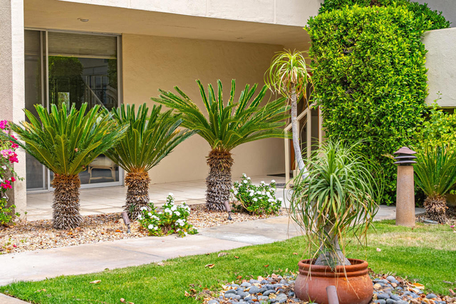 477 Desert Lakes Drive - Photo 1