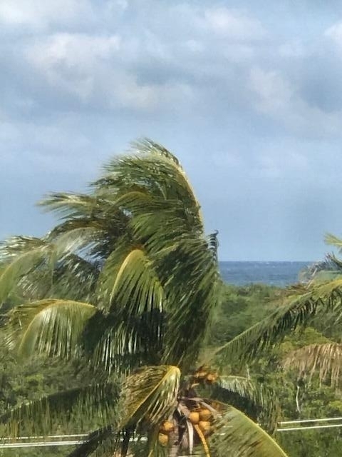 275 Palm Avenue - Photo 1