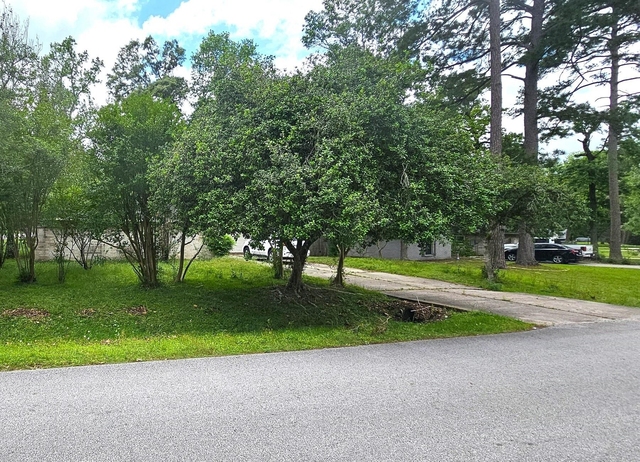 3303 Roaming Woods Lane - Photo 1