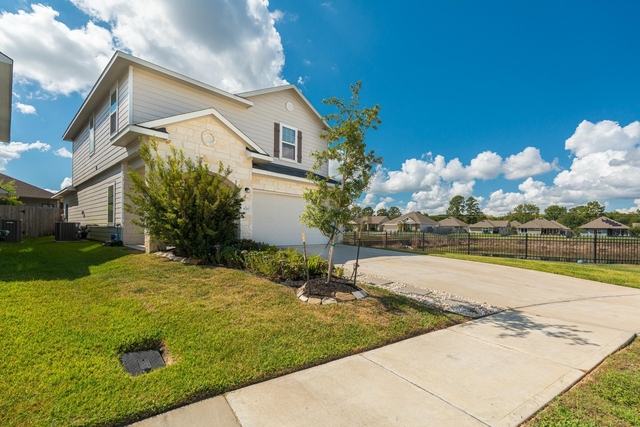 1123 Magnolia Branch Lane - Photo 1