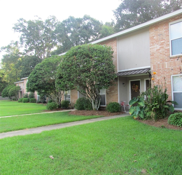 16161 Tiger Bend Road - Photo 1