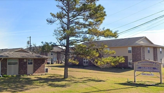 1008 Cottonwood Loop - Photo 1