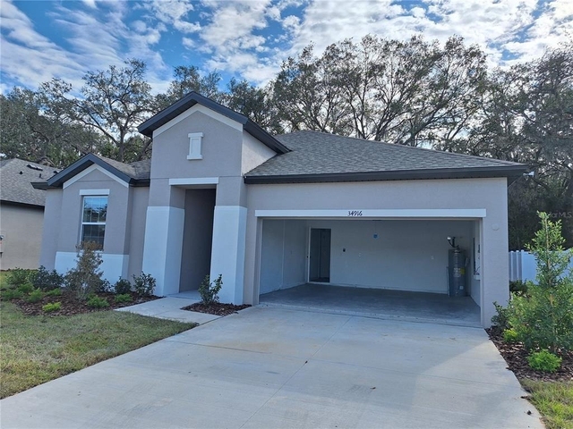 34916 Mulrion Drive - Photo 1