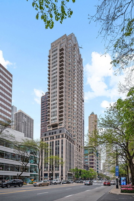 118 E Erie Street - Photo 1