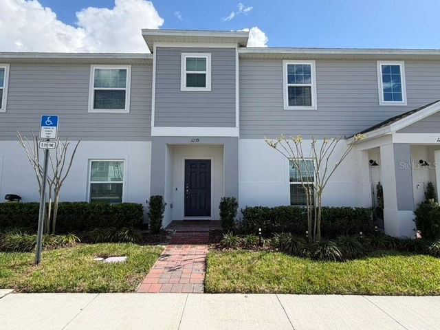 1239 Sand Torch Circle - Photo 1