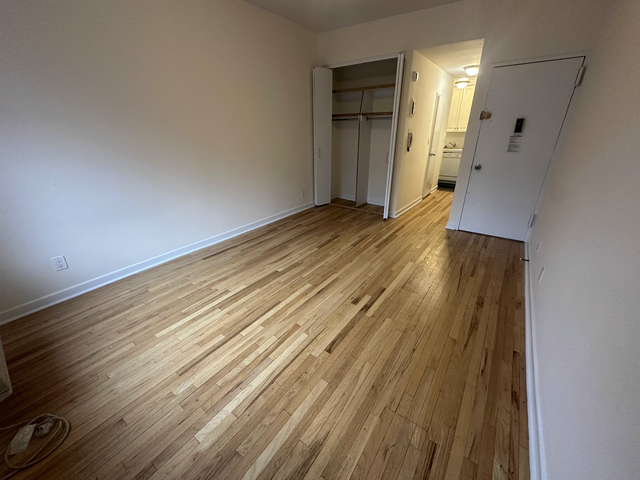 523 East 85th Street - Photo 1