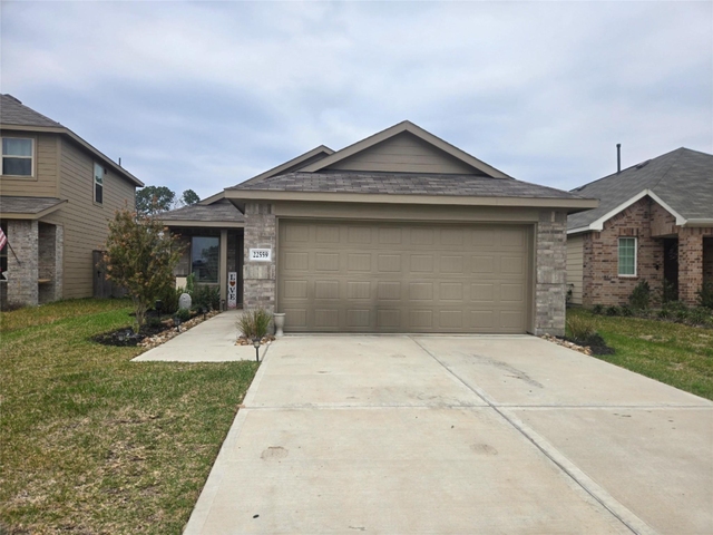 22559 Serviceberry Branch Cour - Photo 1