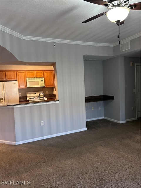 12975 Positano Circle - Photo 1
