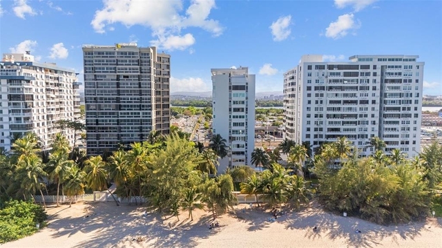 4429 Ave. Isla Verde - Photo 1