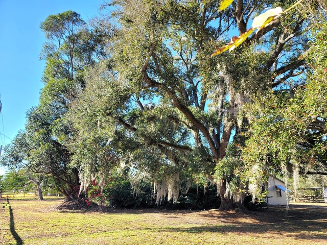 4362 W Midway Road - Photo 1