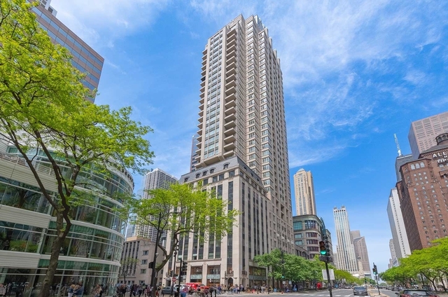 118 E Erie Street - Photo 1