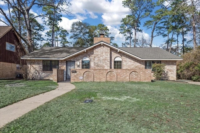 20 Woody Creek Drive - Photo 1