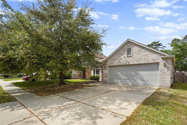 29417 Forest Floor Lane - Photo 1