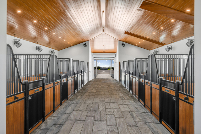 5181 Lasso Way - Photo 1