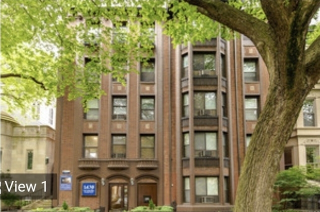 1430 N Dearborn Parkway - Photo 1