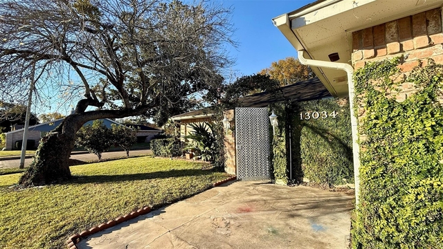 13034 Birch Grove Drive - Photo 1