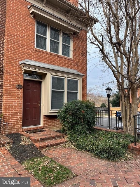 1533 Oronoco Street - Photo 1