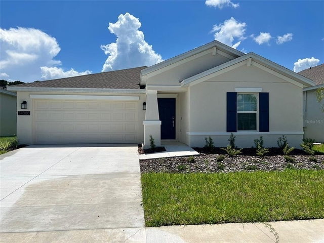 34000 Sky Blossom Circle - Photo 1
