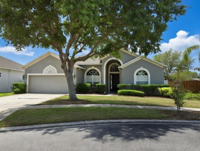 10805 Australian Pine Drive - Photo 1